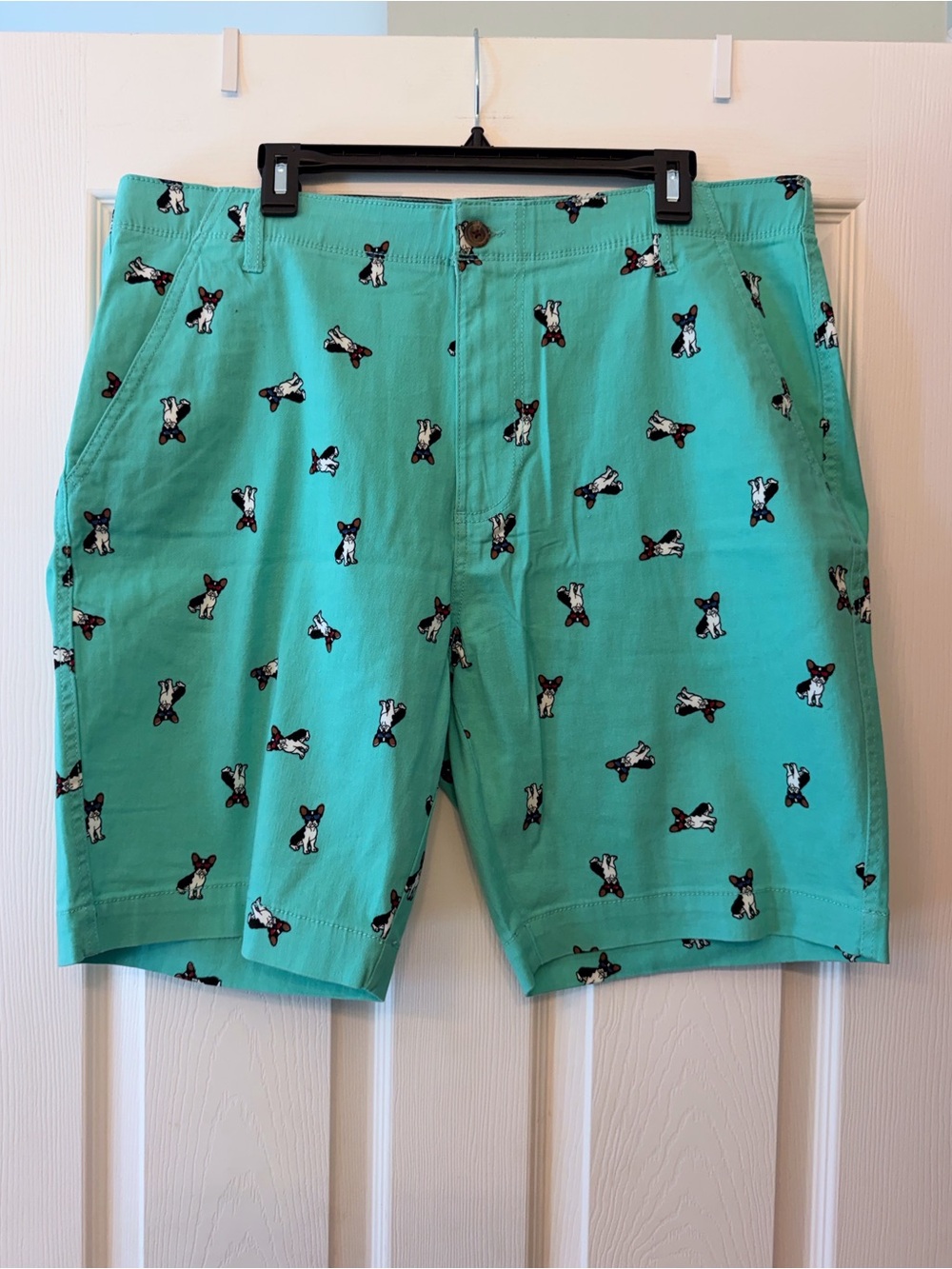 Plugg Men's Flex Waist Teal Chinos Shorts Size 36 Boston Terrier Dog Sunglasses